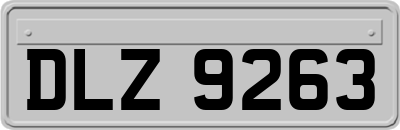 DLZ9263