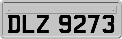 DLZ9273