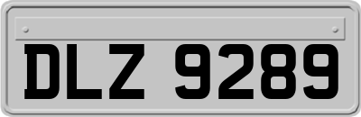 DLZ9289