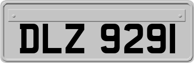 DLZ9291