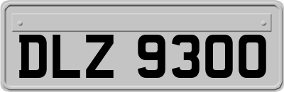 DLZ9300