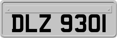 DLZ9301