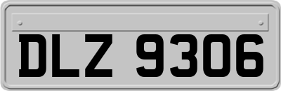 DLZ9306