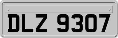 DLZ9307