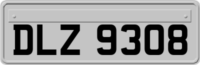 DLZ9308
