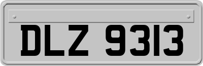 DLZ9313