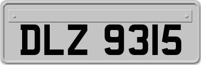 DLZ9315
