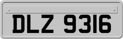 DLZ9316