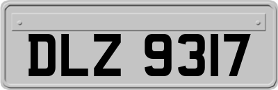 DLZ9317