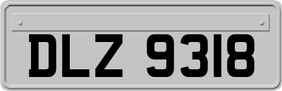 DLZ9318