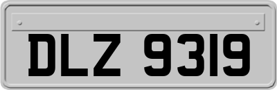 DLZ9319