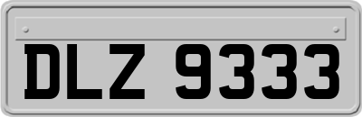 DLZ9333