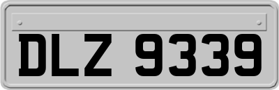 DLZ9339