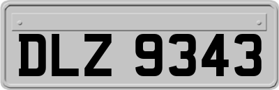DLZ9343