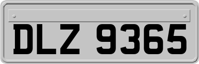 DLZ9365