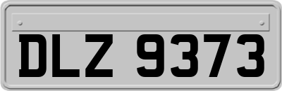 DLZ9373