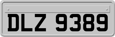 DLZ9389