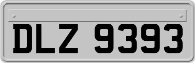 DLZ9393