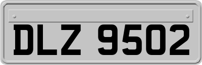 DLZ9502