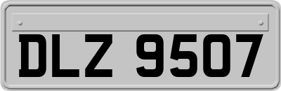 DLZ9507