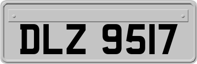 DLZ9517