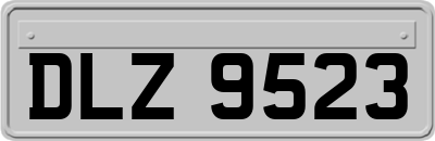 DLZ9523
