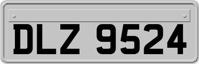 DLZ9524