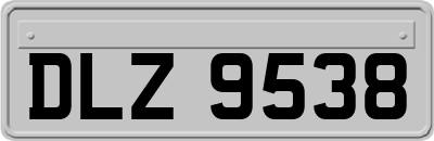 DLZ9538