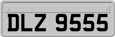 DLZ9555