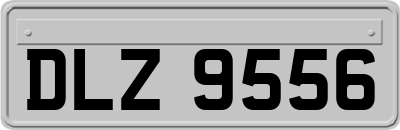 DLZ9556