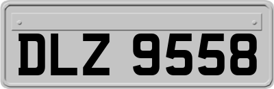 DLZ9558