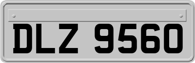 DLZ9560