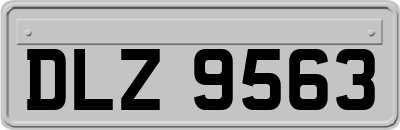 DLZ9563