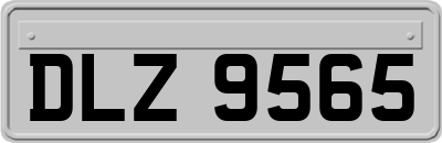 DLZ9565