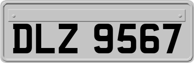 DLZ9567