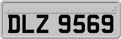 DLZ9569