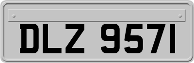 DLZ9571