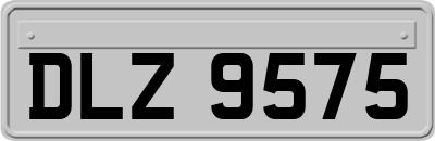 DLZ9575