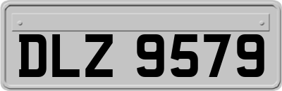 DLZ9579