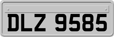 DLZ9585