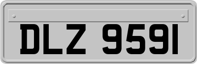 DLZ9591