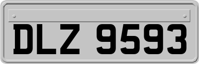 DLZ9593