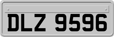 DLZ9596