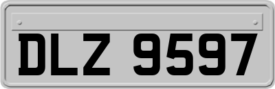 DLZ9597