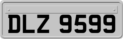 DLZ9599