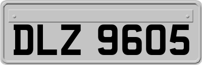 DLZ9605