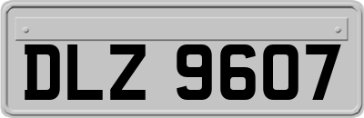 DLZ9607