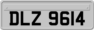 DLZ9614