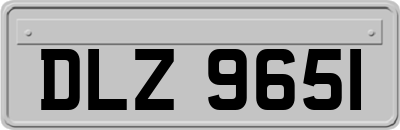 DLZ9651