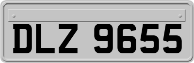 DLZ9655